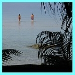 Reise