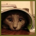 Spionage